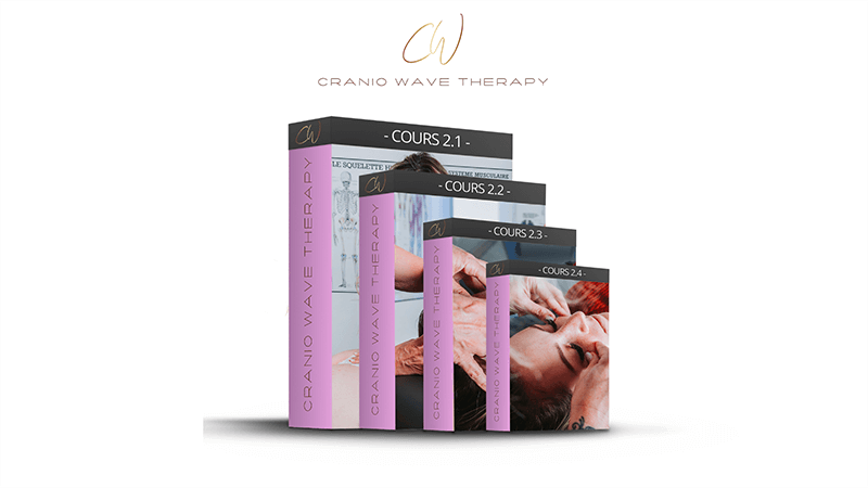 Pack 2 de la formation craniosacrale avancée – CranioWave Therapy Niveau 2
